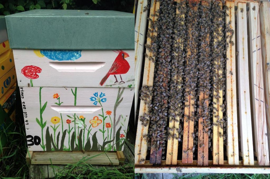 altavia-nantes-csr-beekeeping