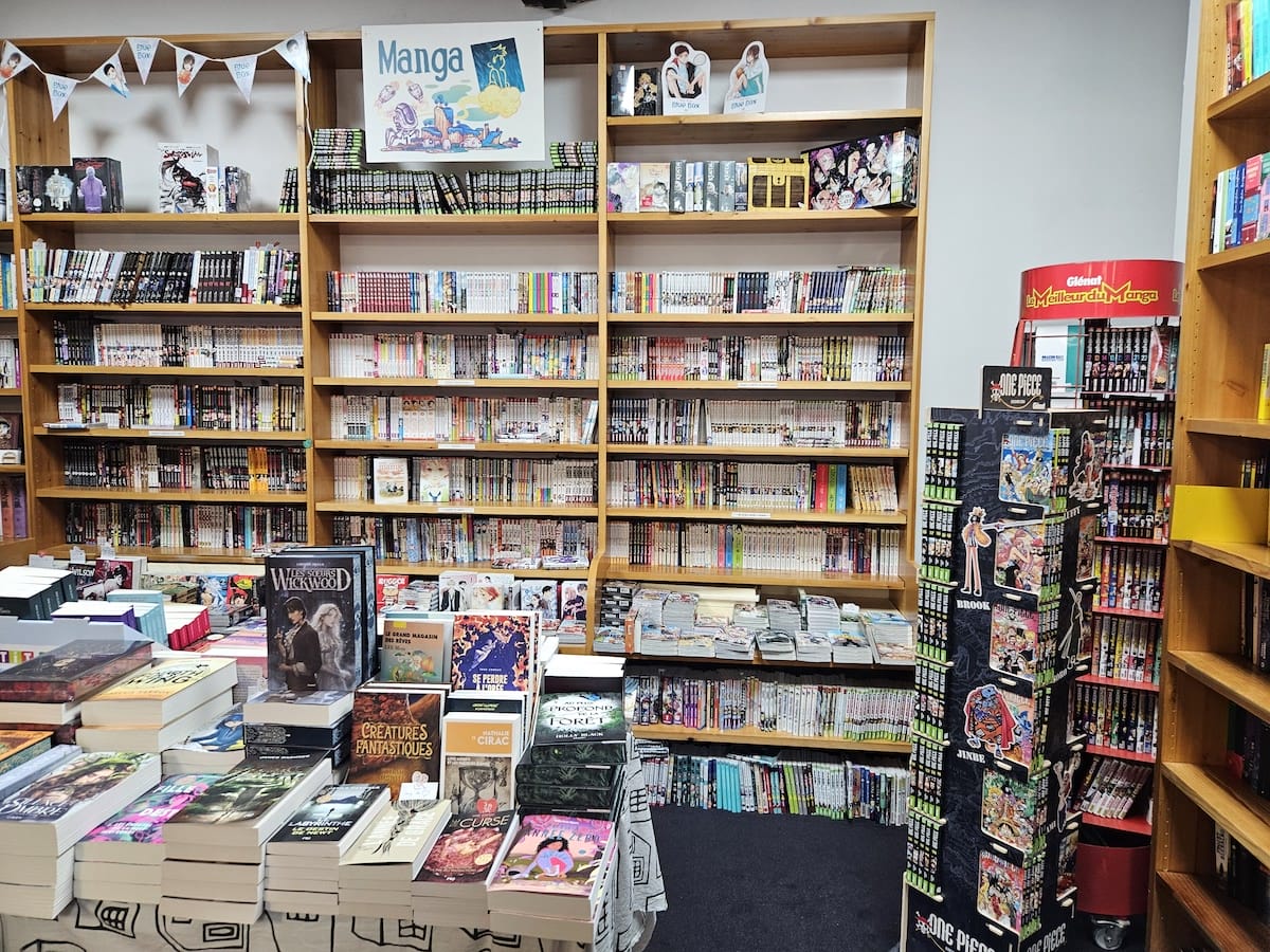 Librairies de Bande-Dessinée en France : une dynamique de vente remarquable depuis 2019.
